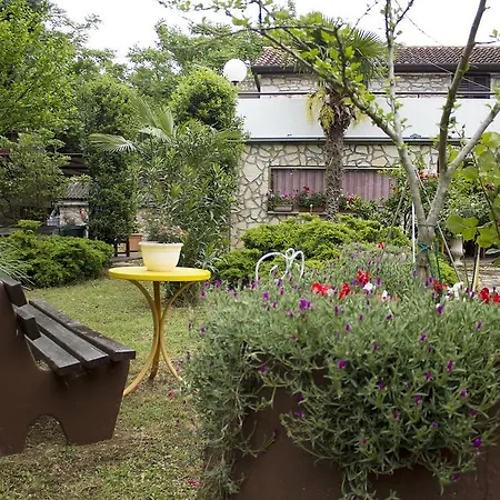 Rale Apartment